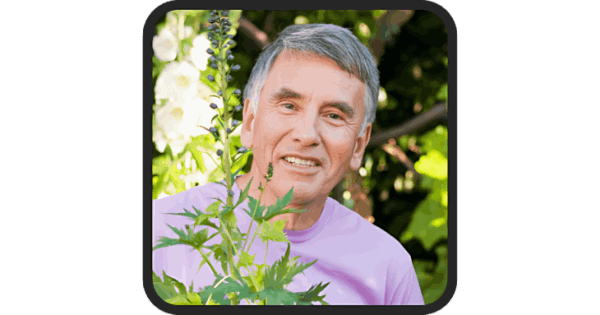 ProDentim Customer Reviews First Person